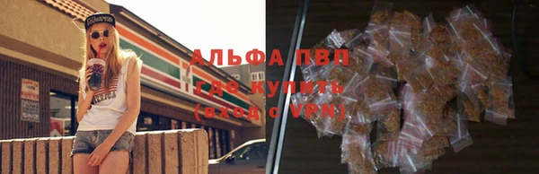 гашик Алексин