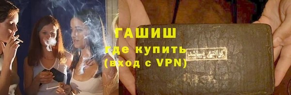 гашик Алексин