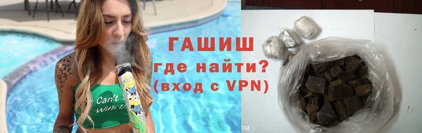 гашик Алексин