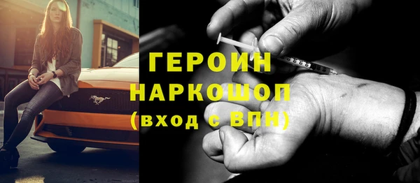 гашик Алексин