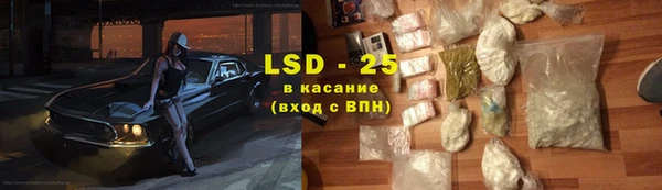 прущие грибы Сафоново