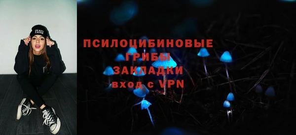 гидра Алзамай