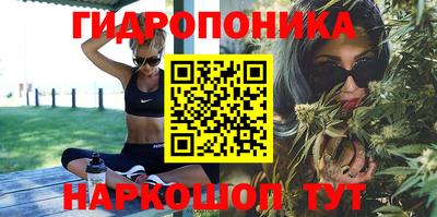 шишки Краснознаменск