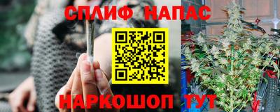 шишки Краснознаменск