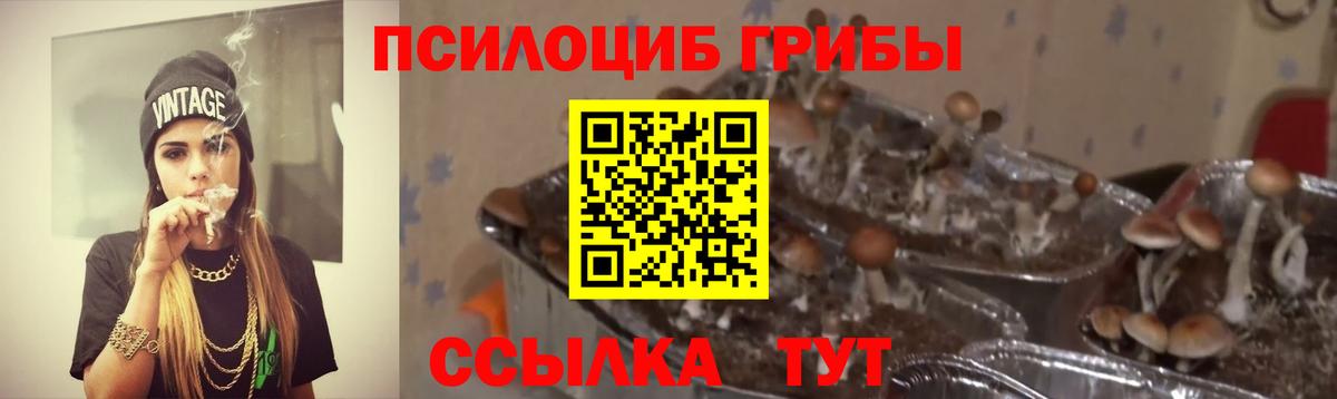 Галлюциногенные грибы MAGIC MUSHROOMS  Вход с VPN  Волоколамск  Псилоцибиновые грибы Psilocybine cubensis 